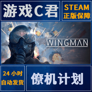 Steam正版游戏 僚机计划 Project Wingman 激活码 国区 全球Key