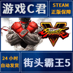 Street Fighter Steam正版 激活码 街头霸王5 冠军 全球Key 游戏