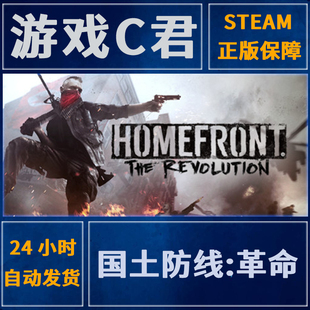 Steam正版游戏 国土防线:革命 Homefront:The Revolution 全球Key