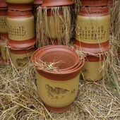 包邮 紫砂花盆兰花盆专用简约室内高档陶瓷透气大号特价 吊兰盆清仓