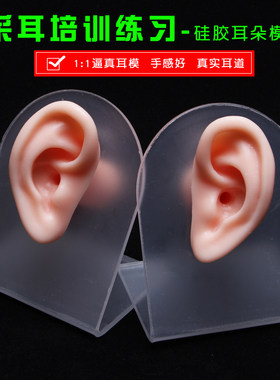 扬九怪硅胶耳朵模型采耳培训练习