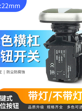 LA42HND双键开关椭圆形绿色横杠按钮带灯不带灯复位常开常闭22mm