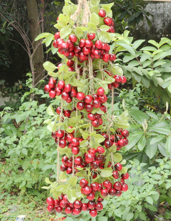 假蔬菜模型玩具 家居橱柜农家乐装饰品樱桃仿真水果串农产品摆件