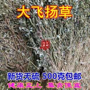 中药材 大飞扬草 干乳籽草500g包邮 无硫大乳汁草奶子草 洗澡草药