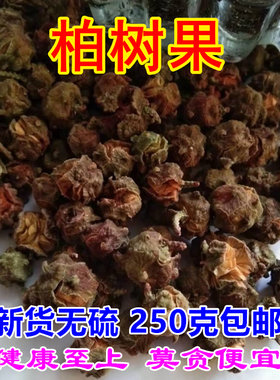 柏树果晒干柏木树果里面无籽