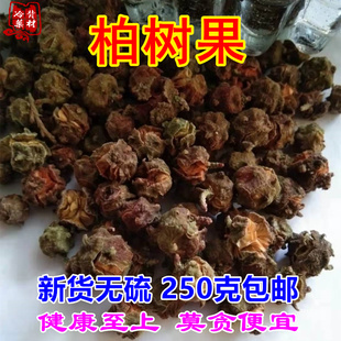 干货柏树果 中药材柏木果子500g包邮柏树子香柏果 非侧柏果侧柏籽