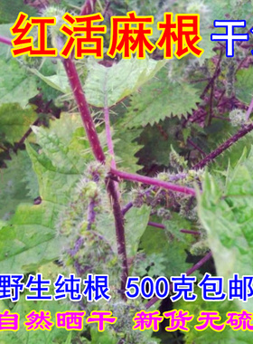 红活麻根 干货四川红荨麻根500g包邮正宗红霍麻根 红禾麻根中药材