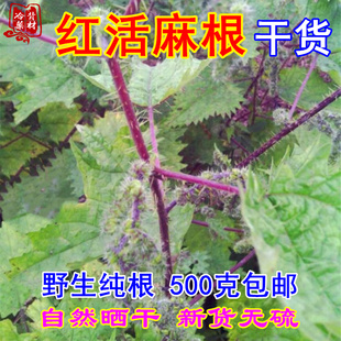 红活麻根 干货四川红荨麻根500g包邮正宗红霍麻根 红禾麻根中药材