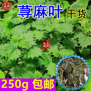 荨麻叶 青活麻叶子 干荨麻草叶250g包邮白活麻禾麻荨麻纯叶中药材