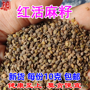 红活麻籽10克中药材 红荨麻子红火麻 四川掌叶蝎子草籽红禾麻包邮