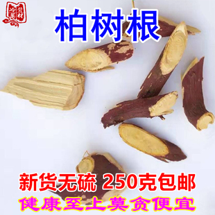 干货柏树根500g包邮 正宗四川柏木根侧柏根 柏树果的树根部中药材