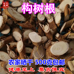 正宗四川构树根 楮树根楮实子楮桃根500g包邮 晒干谷树子根中药材