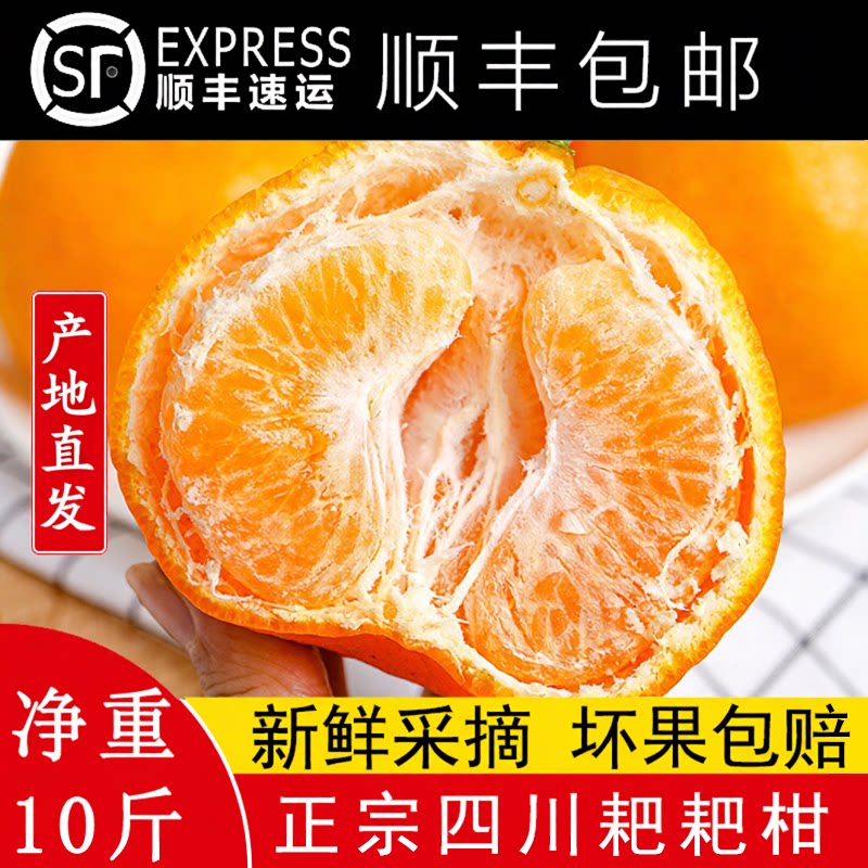 四川早期青黄皮春见耙耙柑粑粑柑爆汁现摘大果手剥桔子新鲜水果10