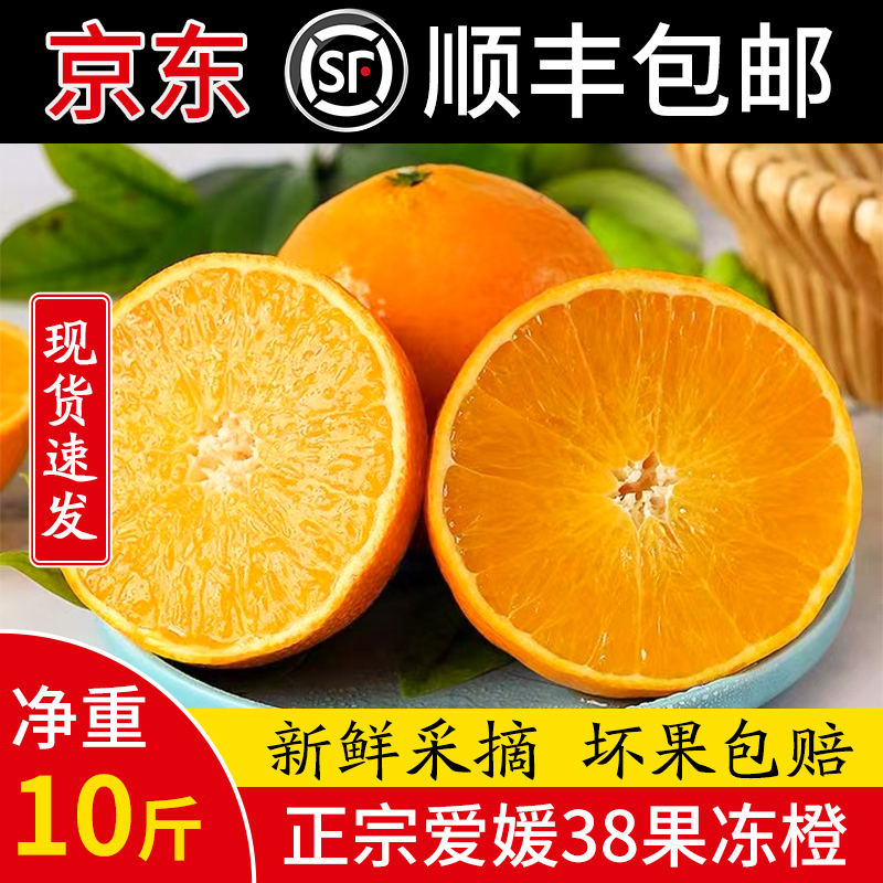 正宗四川38号果冻橙新鲜采摘