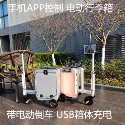 电动行李箱 电动可载人旅行箱 20寸 可坐大人 能骑行代步坐骑登机