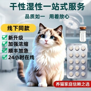 喵咪冠状片剂针剂猫咪口服片传染性大肚子干湿性四肢无力复式呼吸