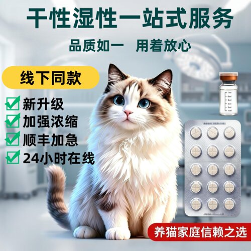 猫咪冠状针剂片剂传染性猫大肚子
