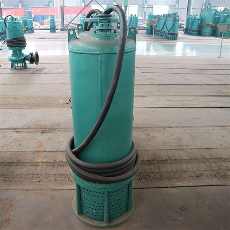 BQS30-30-5.5/N矿用隔爆型潜水排沙电泵 矿用潜水排沙泵