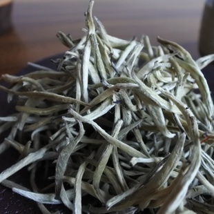 新茶白茶2025春茶白茶大雪山银毫散茶生茶银毫银针生茶白毫白银针
