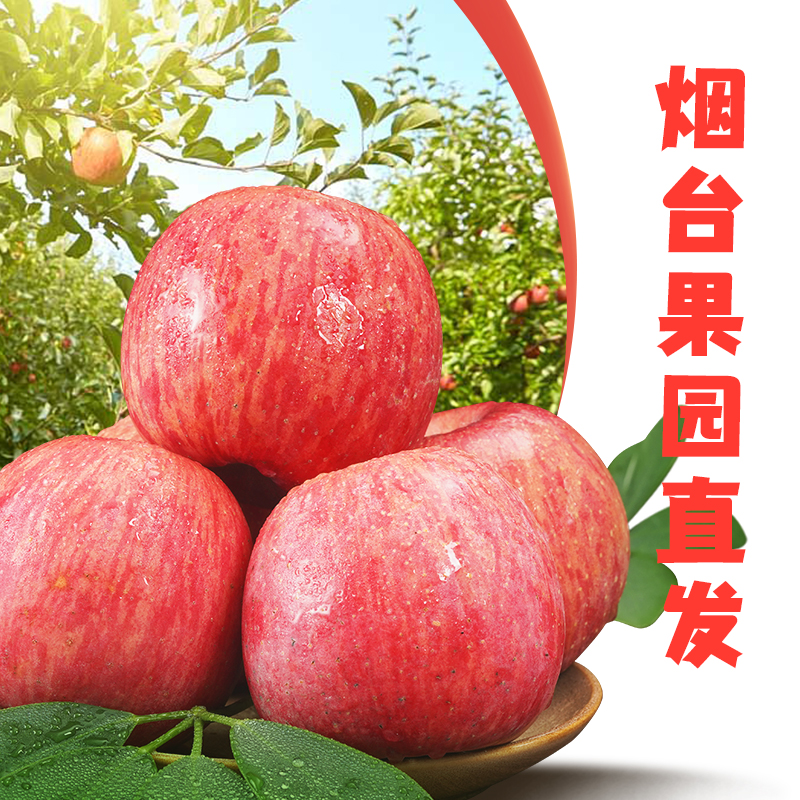 正宗烟台红富士苹果10斤新鲜苹果实惠装整箱包邮新鲜水果栖霞特产