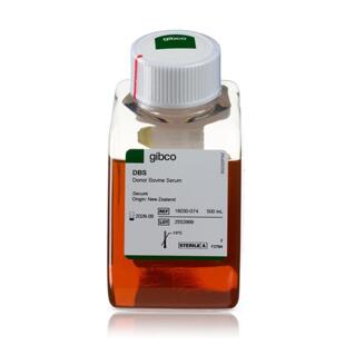 500 16030074吉布科新西兰供体牛血清12至36个月无菌过滤Gibco