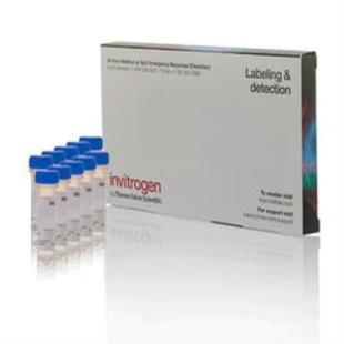 S36002 Invitrogen 单线态氧荧光探针 10x100 μg