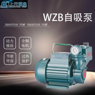 自吸泵WZB家用静音抽水泵太阳能自来水管道增压GP125 上海上元