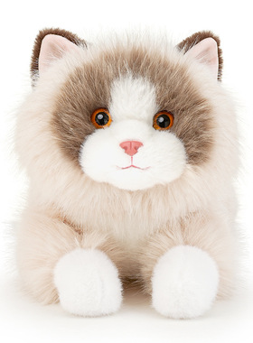 仿真布偶猫招财猫小猫咪玩偶安抚礼物睡觉抱玩偶女生情侣生日礼物