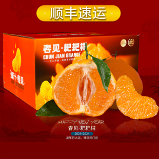 正宗四川眉山春见耙耙柑橘子当季新鲜水果现摘10斤整箱