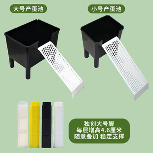 黎明玩龟水族乌龟产蛋池爬梯套装 黑色黄色白色蛋龟黄缘底部可躲避