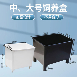 中、大号乌龟发色饲养盒乌龟产蛋池黎明玩龟窄桥果核头盔萨尔文蛋