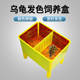 黎明玩龟水族乌龟大号饲养盒+贴纸+图案板蛋龟宠物龟窄桥果核发色