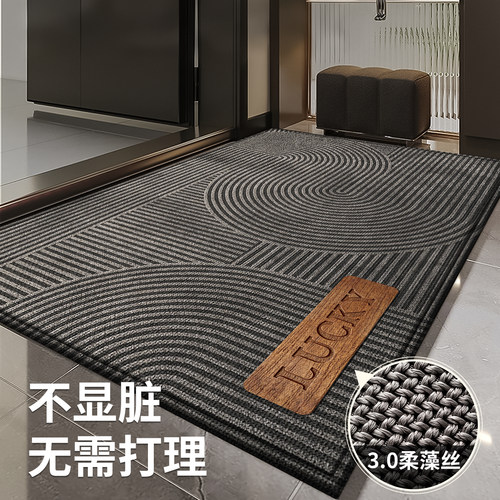 入户门地垫轻奢高级感门口门垫新款家用进门脚垫耐脏免洗玄关地毯