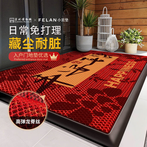 入户门地垫2025新款门口进门专用防滑垫家用免洗脚垫室外门垫地毯