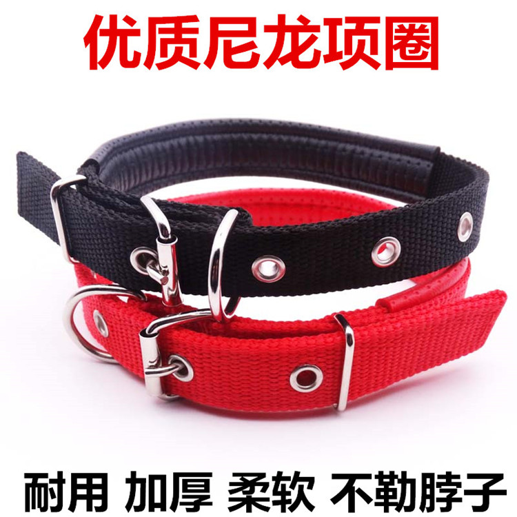 狗狗项圈脖圈脖套小型中型大型犬小狗哈士奇金毛泰迪颈圈宠物用品
