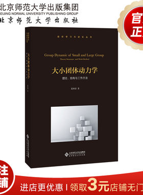大小团体动力学 理论、结构与工作方法  9787303253760 夏林清  组织学习与进化丛书  北京师范大学出版社  正版书籍