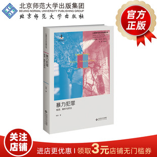 暴力犯罪 根源、解析与矫治  9787303300600 杨波 著 心理学与社会治理丛书 北京师范大学出版社  正版书籍