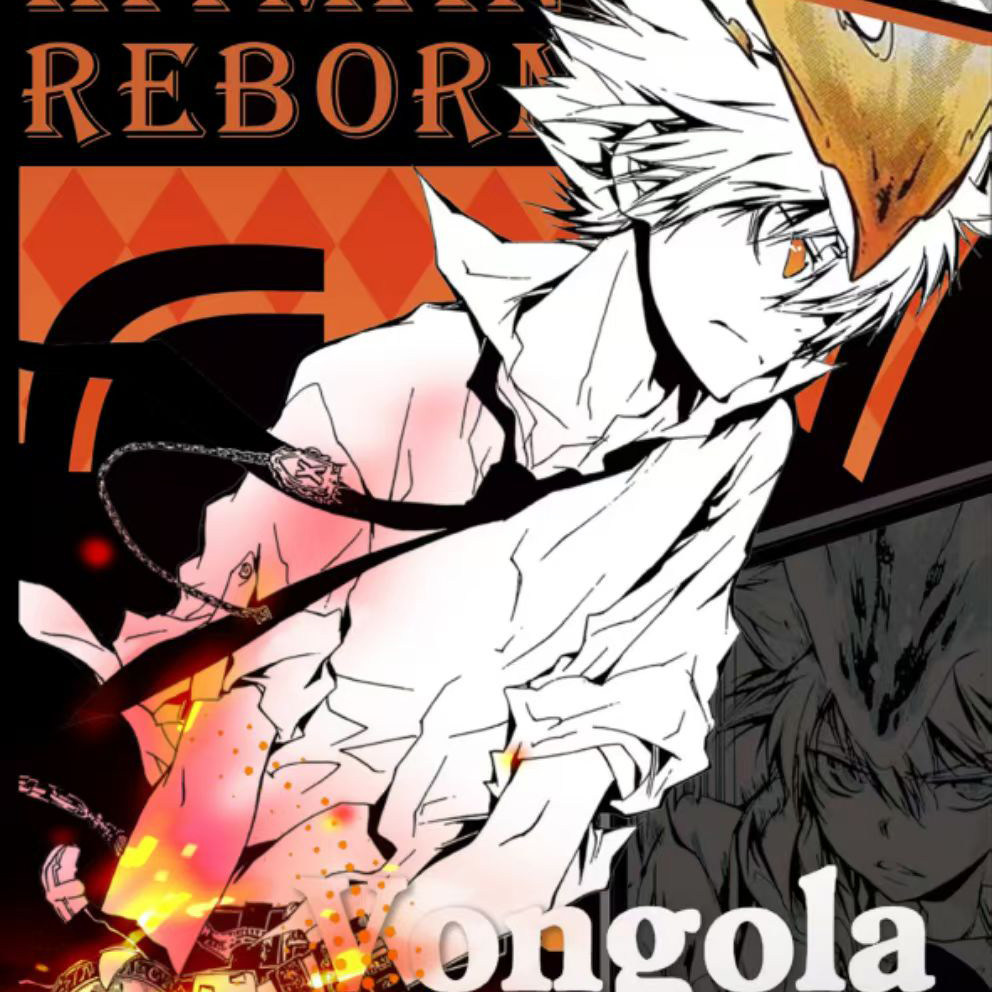 家庭教师REBORN百年羁绊