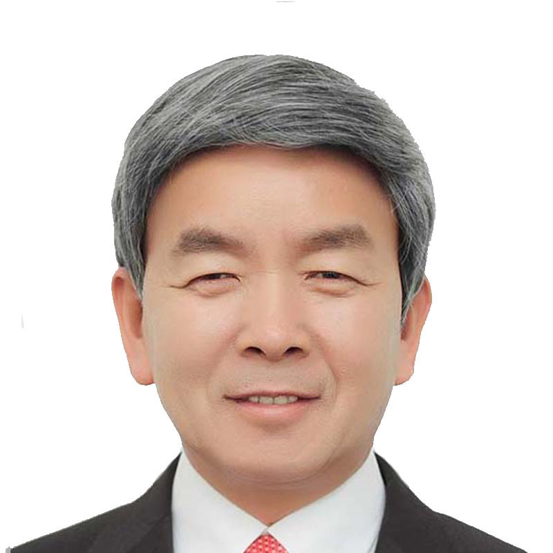 蓬松中老年花白假发包邮