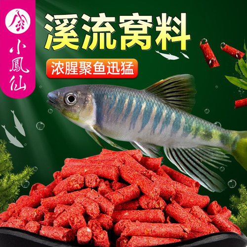 小凤仙溪流窝料持久留鱼