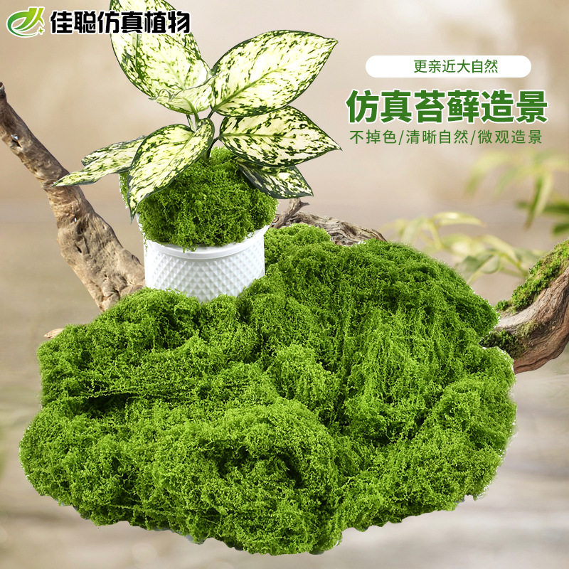 仿真苔藓草皮青苔石植物墙树皮永生苔藓人造草坪景观橱窗装饰