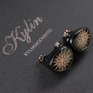 Whizzer/威泽 HE03 HE03d入耳式动圈hifi耳机 南宁实体店