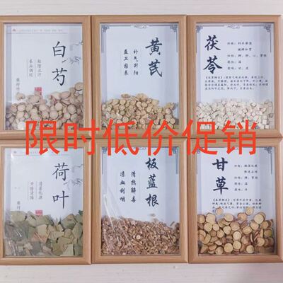 中药标本展示墙装饰中草药植物标本中药材标本样品中药标本装饰画