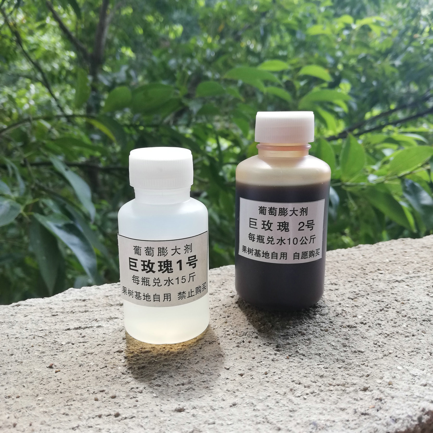 巨玫瑰 葡萄膨大剂 膨大素 调节剂 果树肥料 保果膨大一体剂 软梗