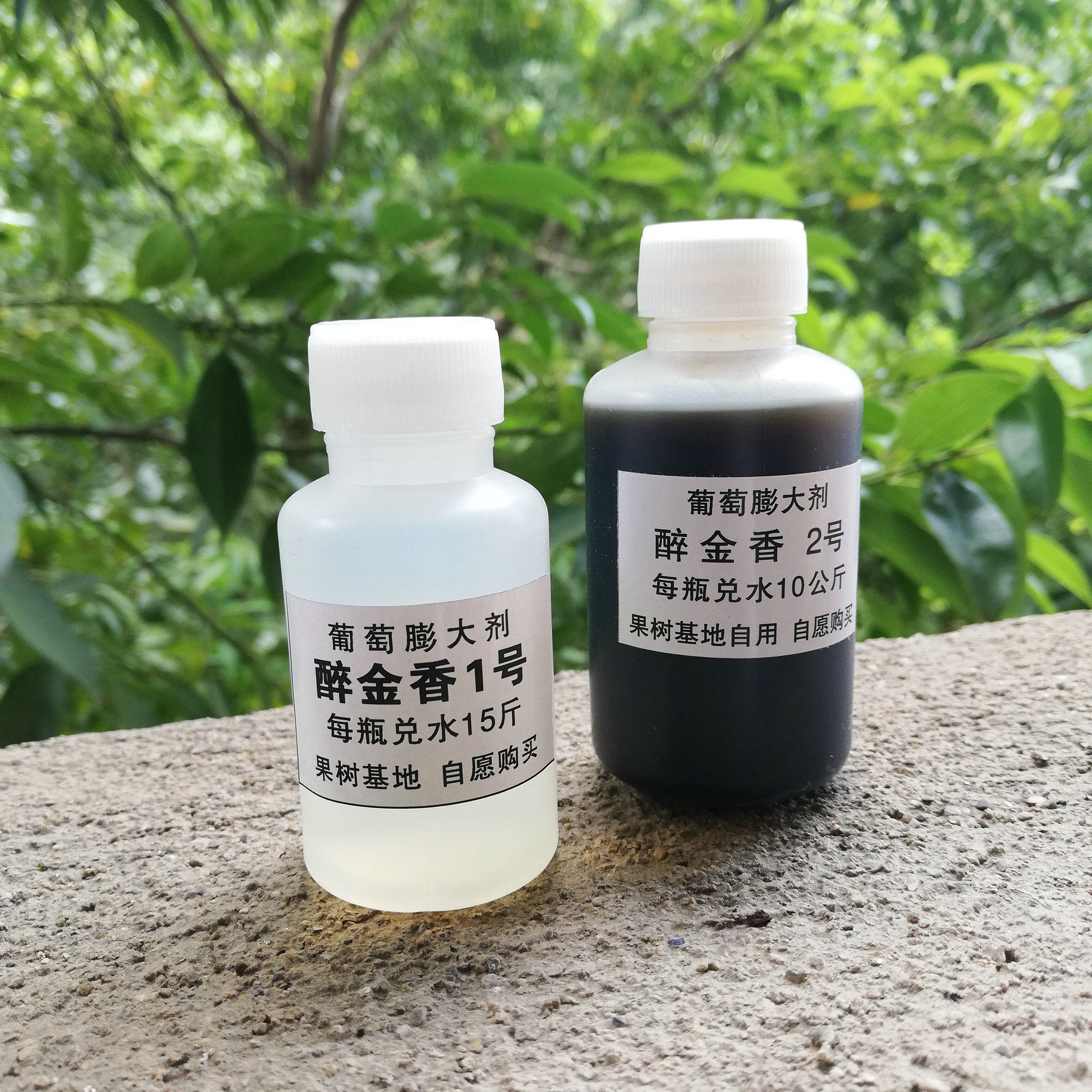 醉金香专用葡萄膨大剂膨大素调节剂果树营养液去核保果膨大一体剂