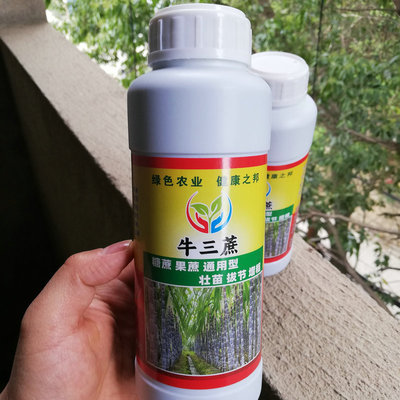 甘蔗丰产素拔节拉长增粗营养液