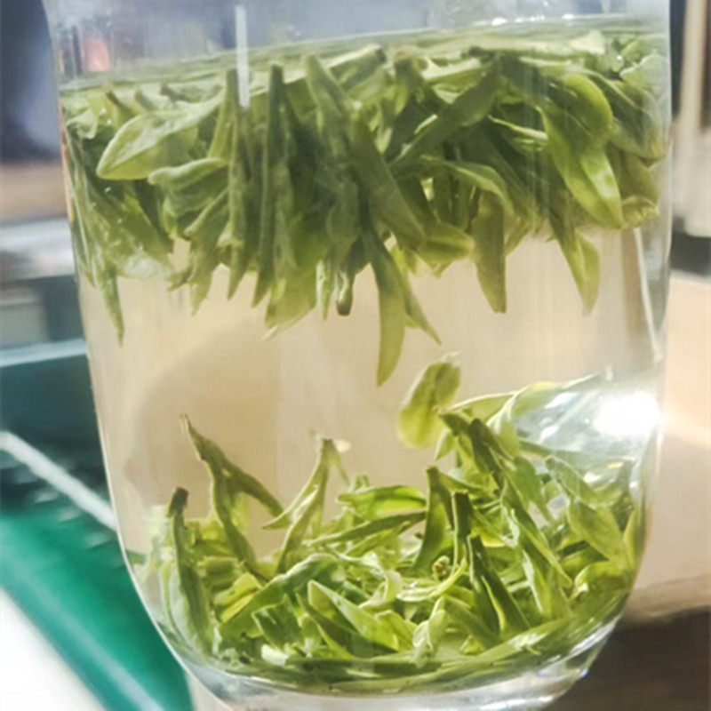 龙井43品种2026年3月3号采摘头春头采新茶小芽明前高山茶散装豆香