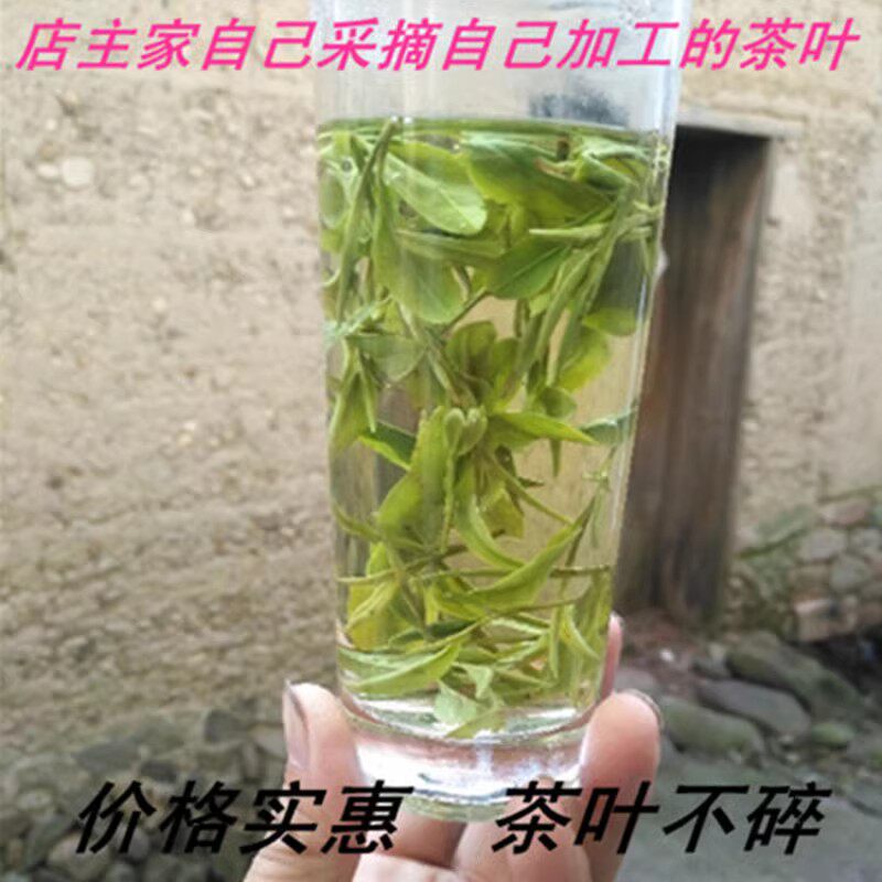 自家茶园雨前高山白茶2026年4月15号采摘新茶好喝自己种散装500克