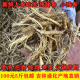 新鲜长白山人参残体吉林人参12年山参残肢泡酒煲汤人参鲜吃货人参