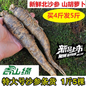 大号沙参 东北新鲜沙参500克吉林沙参山胡萝卜山地瓜买4送1斤